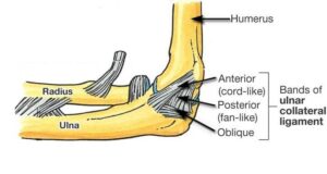 Ulnar Collateral Injuries of the Elbow – Home | Consultant Orthopaedic ...